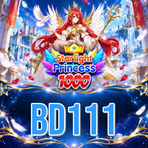 bd111 Install FAQ