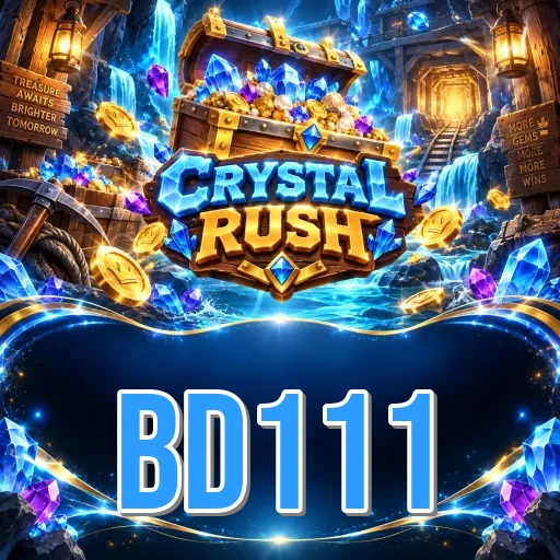 App Information bd111