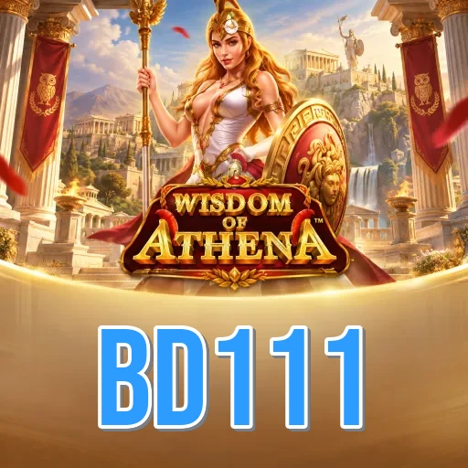 bd111 Features FAQ
