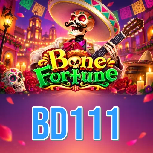Installation Guide - bd111 Expert Tutorial
